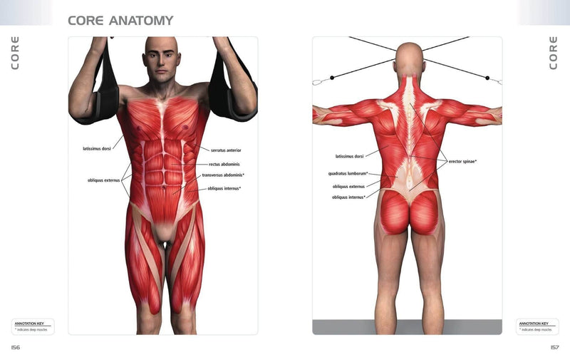 Anatomy of Exercise Book