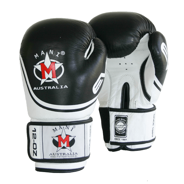 Leather EVO Boxing Glove