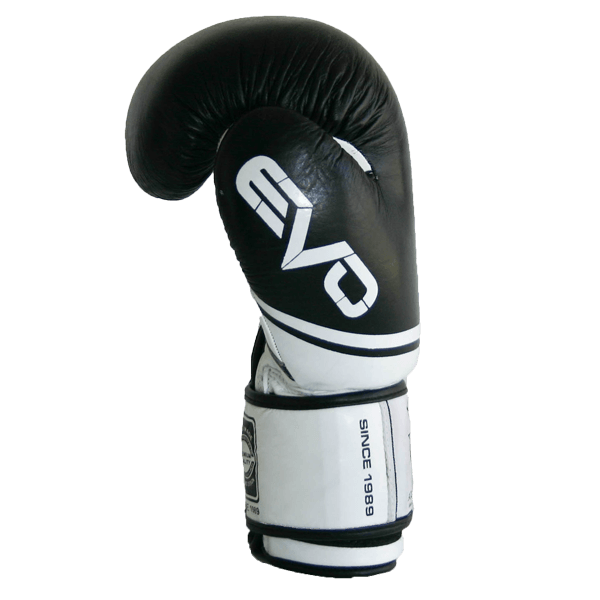 Leather EVO Boxing Glove