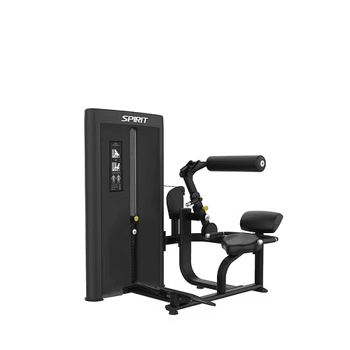 Spirit Commercial Strength - Back extension