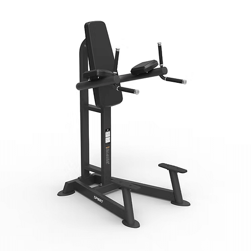 Spirit Commercial Free Weight Strength - Leg Raise/Dip