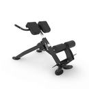 Spirit Commercial Free Weight Strength - Back Extension Bench