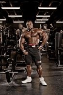 Schiek Lifting Strap - Model 1000 Basic Padded Lifting Strap