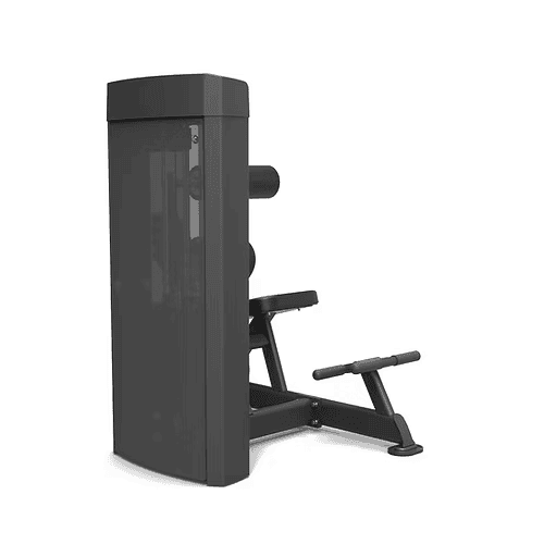 Spirit Dual Function Commercial Strength - Abdominal/Back Extension