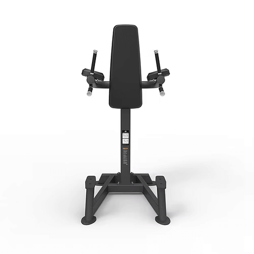 Spirit Commercial Free Weight Strength - Leg Raise/Dip