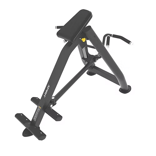 Spirit Commercial Free Weight Strength - Row