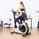 LFE02 Lifespan Fitness Commerical Exercise Bike EXC-100