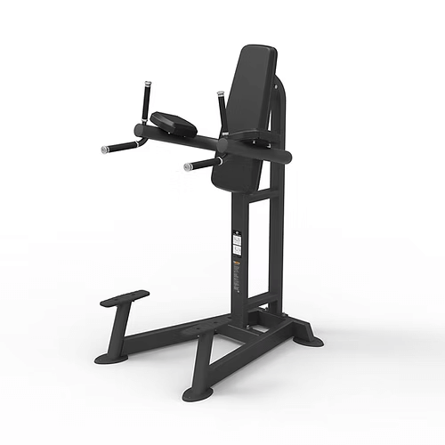 Spirit Commercial Free Weight Strength - Leg Raise/Dip