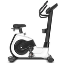 LFE02 Lifespan Fitness Commerical Exercise Bike EXC-100