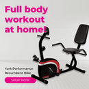 York Performance Recumbent Bike