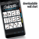 Bosu Balance Pods at 20% OFF!