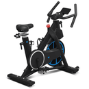 Lifespan Delta 1.0 Spin Bike