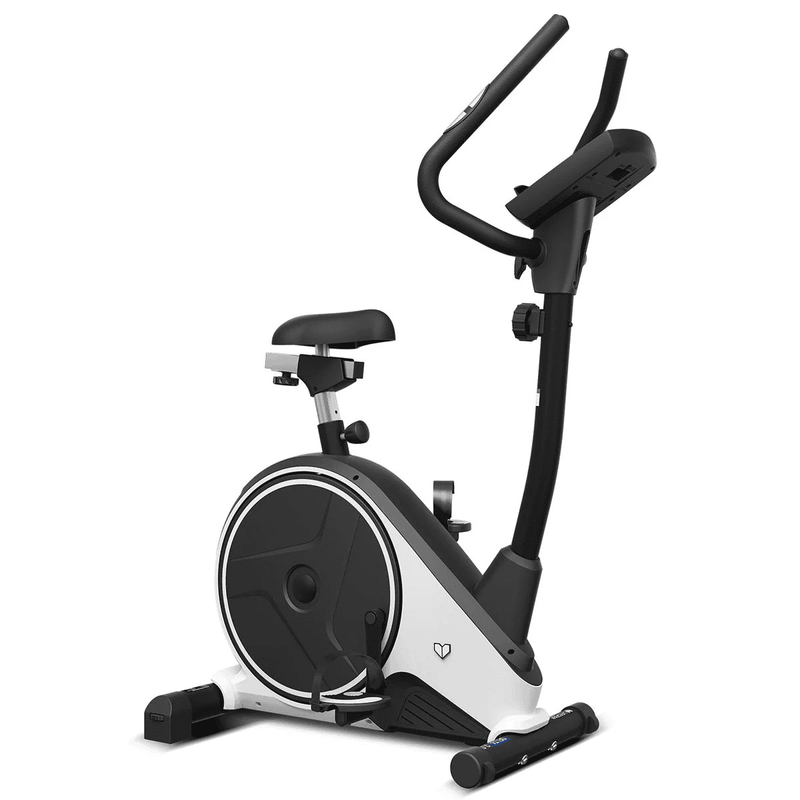 Lifespan Delta 2.0 Exercise Bike