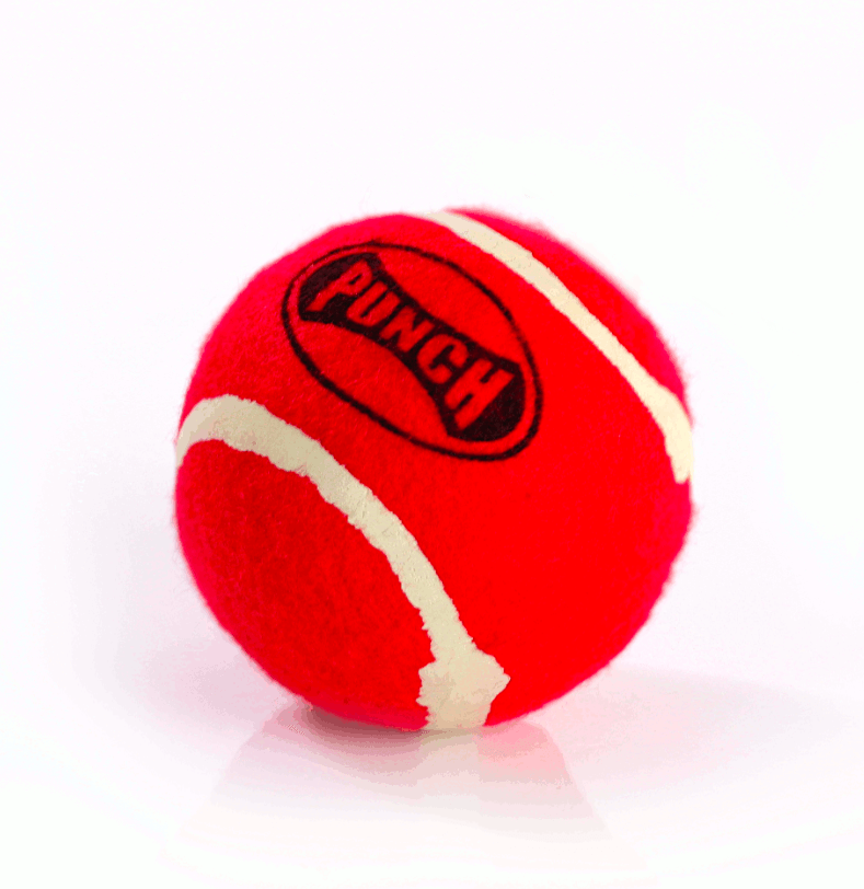 PUNCH Reflex Ball
