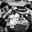 PUNCH Shooto Sparring MMA Gloves, Black and White