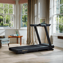 Reebok FR20z Floatride Treadmill