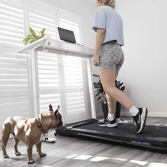 Orbit Starlite SL2 Desk Treadmill