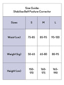 Swedish Posture - Stabilise Lumbar Back Belt - Posture Corrector, Black