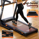 Efit Treadmill Electric Home Gym Fitness Exercise Machine Hydraulic 420mm - ONLINE ONLY