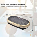 Gold Mini Vibration Platform Magnet Therapy Vibrating Machine Exercise Plate - ONLINE ONLY