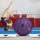 Powertrain Inflatable Air Barrel Gymnastics Roller 120cm x 75cm - Purple PVC Tumbling Mat for Flips & Balance - ONLINE ONLY