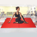 Gym Mat Gymnastics Martial Arts Karate Gym Mat Yoga Wrestling - ONLINE ONLY
