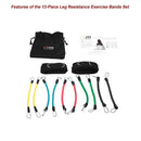 13PC Resistance Bands Set – Fitness Exercise Tubes with Handles & Leg Bands - ONLINE ONLY