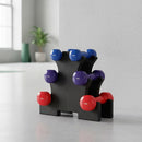 6-Piece Dumbbell Set with Storage Rack for Home Gym Training - ONLINE ONLY