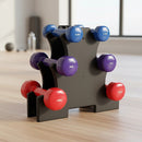 6-Piece Dumbbell Set with Storage Rack for Home Gym Training - ONLINE ONLY