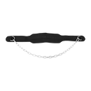 Dipping Dip Weight Lifting Belt [ONLINE ONLY]