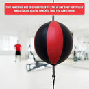 Floor to Ceiling Ball Boxing Punching Bag – Speed Reaction Training Equipment - ONLINE ONLY