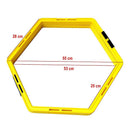 Fitness Agility Grid System for Speed and Footwork Training - ONLINE ONLY