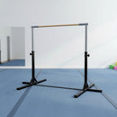 Gymnastics Training Bar for Kids [ONLINE ONLY]
