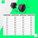 VP Rubber Hex Dumbbells 27.5kg [ONLINE ONLY]