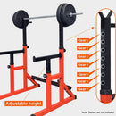 Squat Rack Barbell Rack Dip Station Home Fitness GYM Bench Press Bar Weight Lifting Strength Training (Online Only)