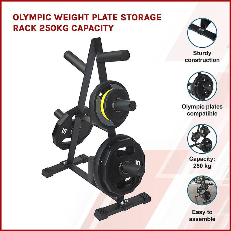 Olympic Weight Plate Storage Rack 250kg Capacity [ONLINE ONLY]