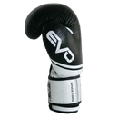 Leather EVO Boxing Glove