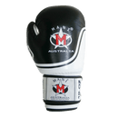 Leather EVO Boxing Glove