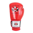 Head Start Series Boxing Gloves