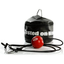 Punch Mexican Butterfly  Floor To Ceiling Ball