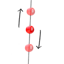 Punch Mexican Butterfly  Floor To Ceiling Ball